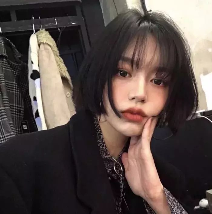 丝黛芬妮