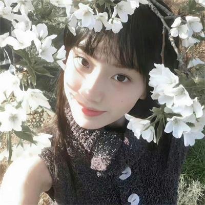 憨姑爷粤语